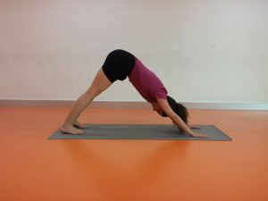 Adhomuka Svanasana