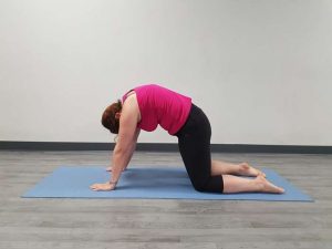 Bidalasana