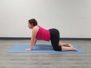 Bidalasana