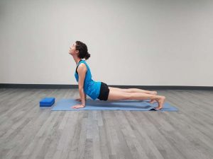 urdhva-mukha-svanasana