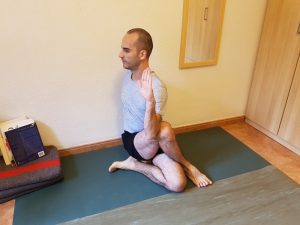 ardha-matsyendrasana