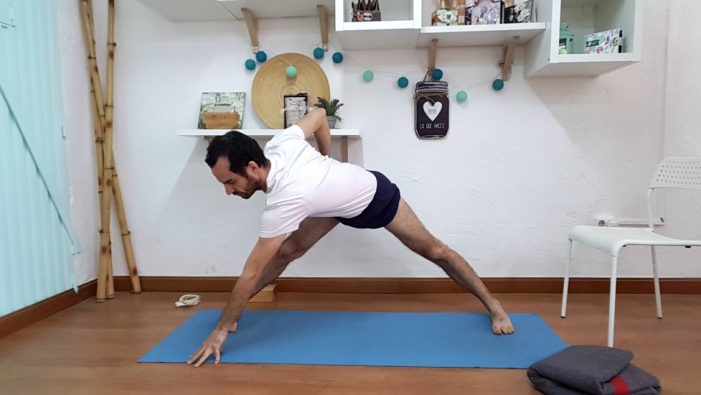 parsva-prasaritta-padottanasana