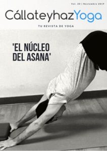 Revista de Yoga número 20. Noviembre